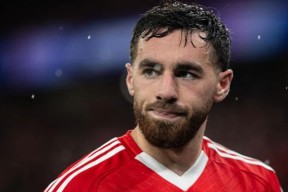 双甲战陀免费观看