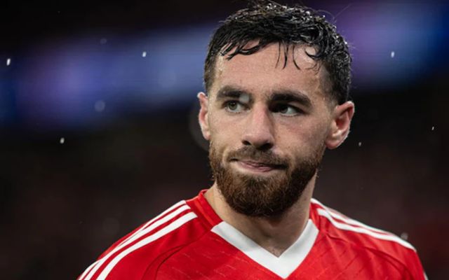 双甲战陀免费观看